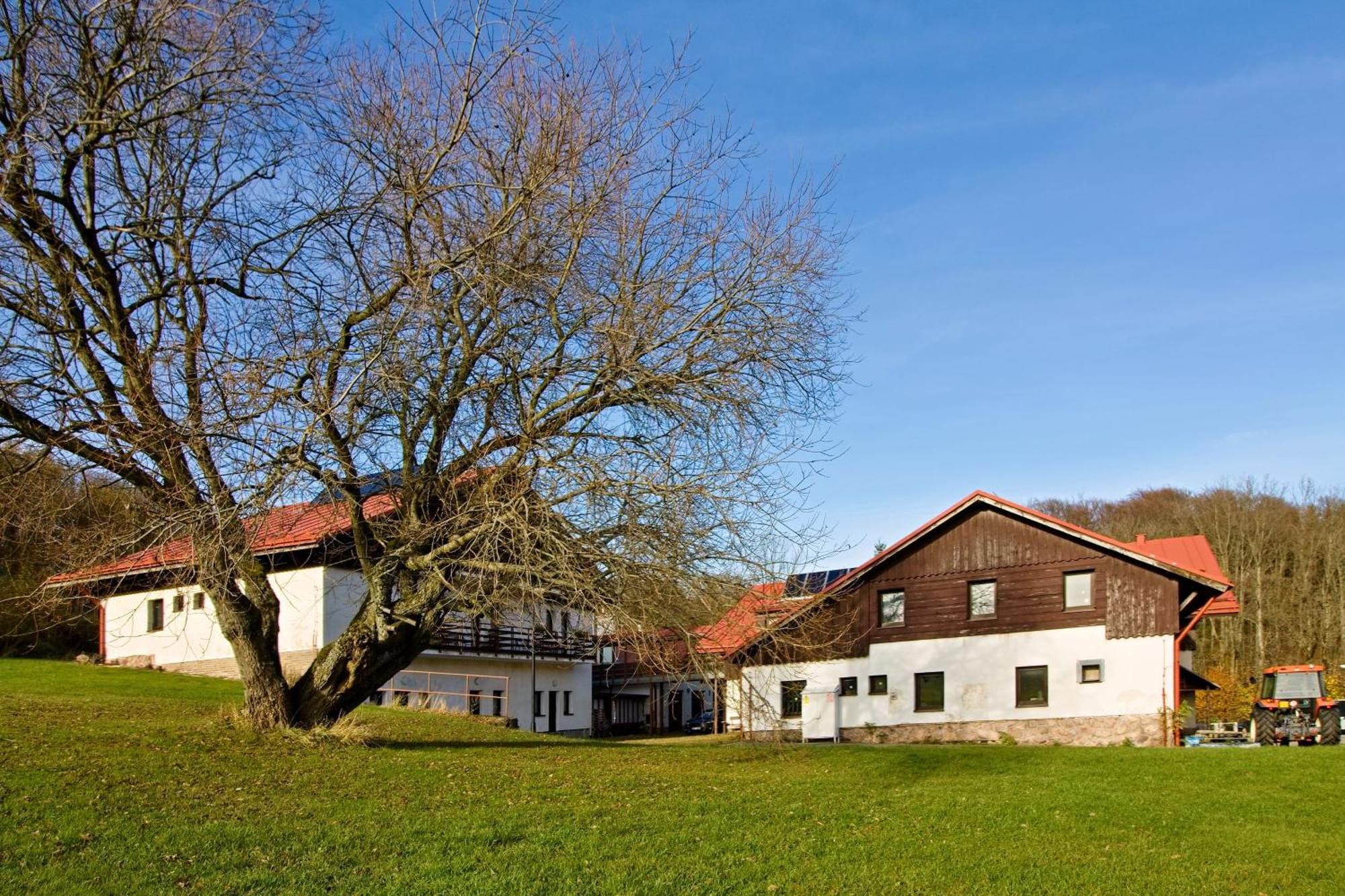 Penzion Hradek Hotel Novy Hradek Exterior photo